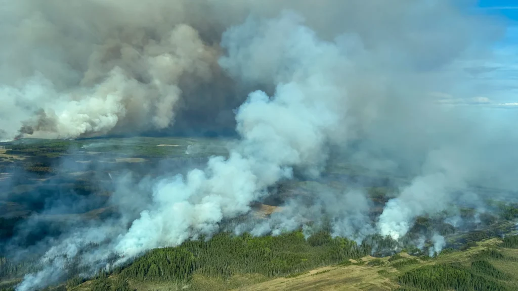 Photo of wildfire smoking rising from a burning forest.