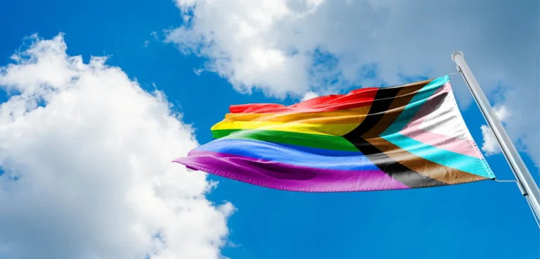 The Progress Pride flag lgbtq Progress LGBTQ rainbow flag