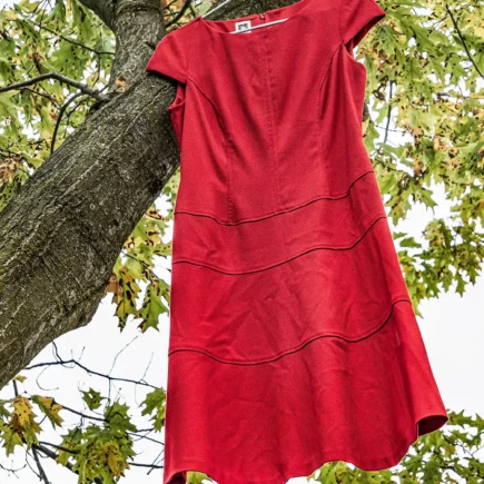 A red dress hangs in a tree in Spencer Smith park as part of The Red Dress Project for Missing and Murdered Indigenous Women
