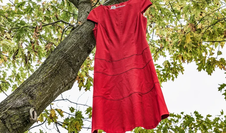 A red dress hangs in a tree in Spencer Smith park as part of The Red Dress Project for Missing and Murdered Indigenous Women